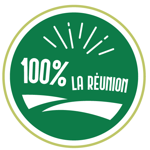 Logo-100-Reunion-bichromie-original