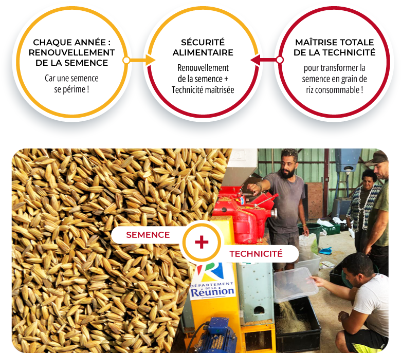 securite-alimentaire-schema (1)