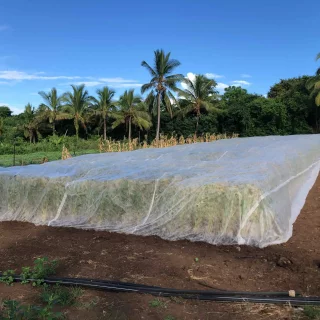 Protection