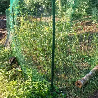 PARTICULIER-Plantation-de-Sandrine-a-St-Denis