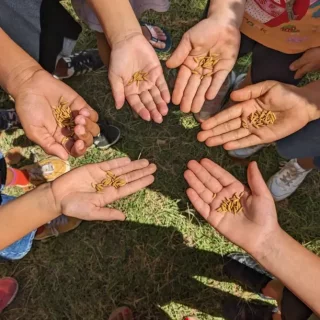 Riz-dans-ecole-1