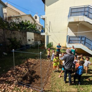 Riz dans école 13